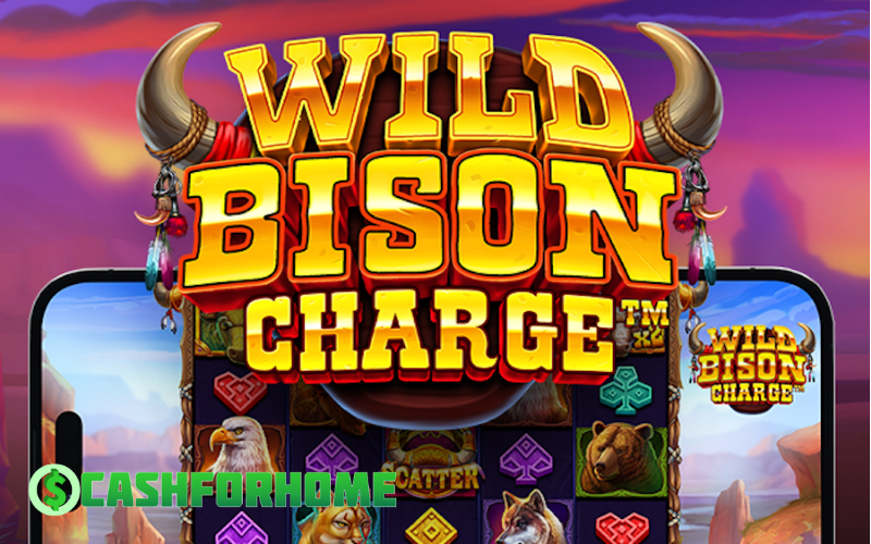 wild bison charge 